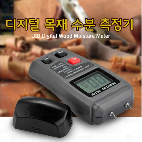 오늘을 특별하게 산림생태계 이게 짱!