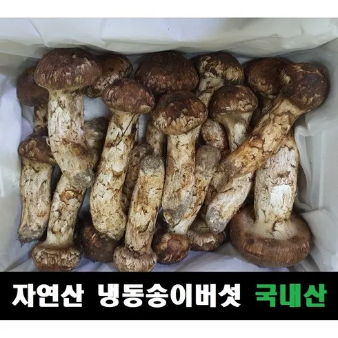 스타일 업! 터키산 송이버섯 강추합니다!