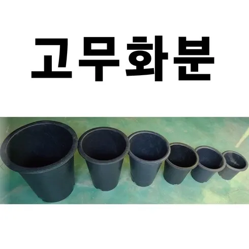 기대 이상의 가치 대형고무화분 딱이죠!