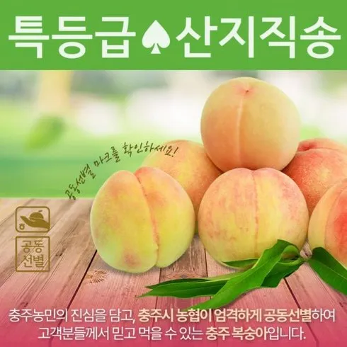 마음을 움직이는 그 상품! 하늘작 충주 복숭아 5kg 황도 +내돈내산 후기!