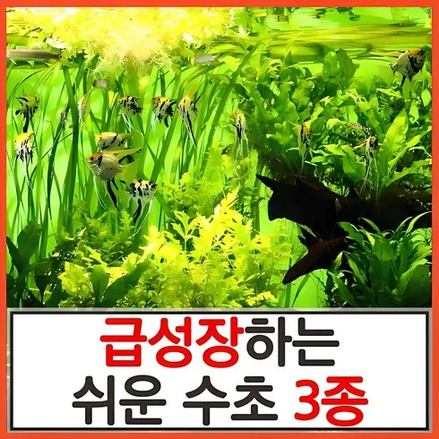 Top9 무균수초 추천상품 베스트상품